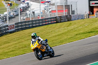 Middle 2 Group Yellow Bikes